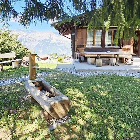 Schwabhorn Appartamento Axalp